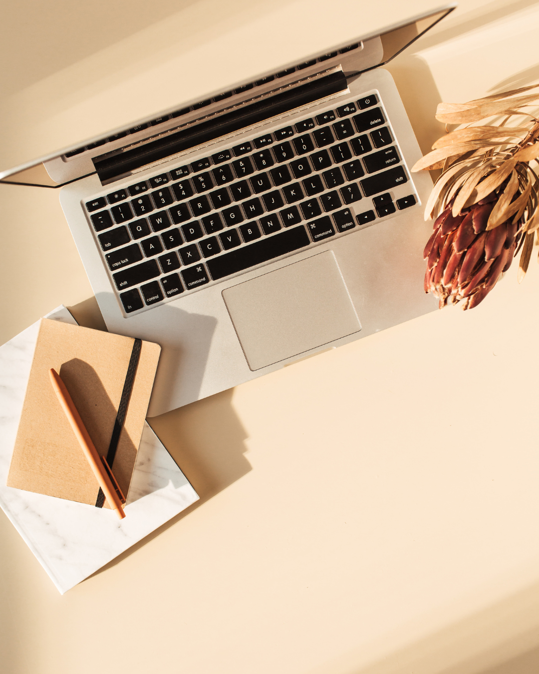 organisme de formation Céline NAUDIN